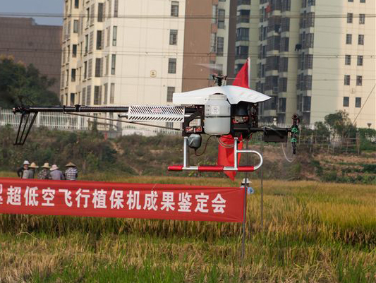 ezweb易利娱乐平台科技超低空？睾叫兄脖；ü蒲行Ч卸