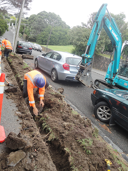 ezweb易利娱乐平台挖掘机脱销新西兰