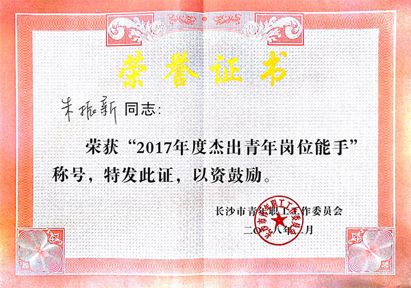 ezweb易利娱乐平台智能朱振新荣获长沙市2017年度优异青年岗位能手