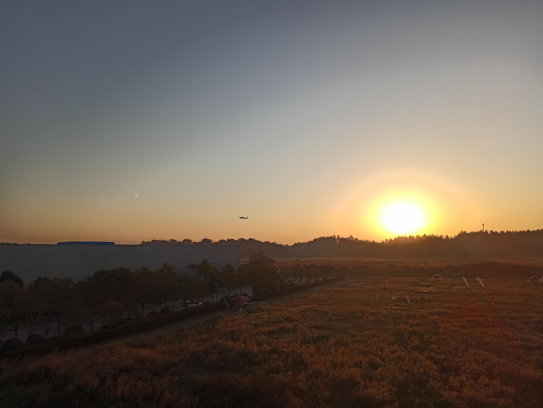直飞客户机。zweb易利娱乐平台航空立异中国轻型运动飞机交付方法