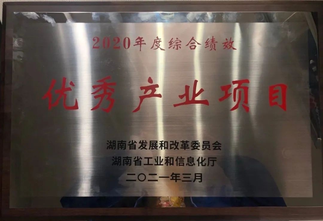 ezweb易利娱乐平台智能获评湖南“2020年度综合绩效优异工业项目”