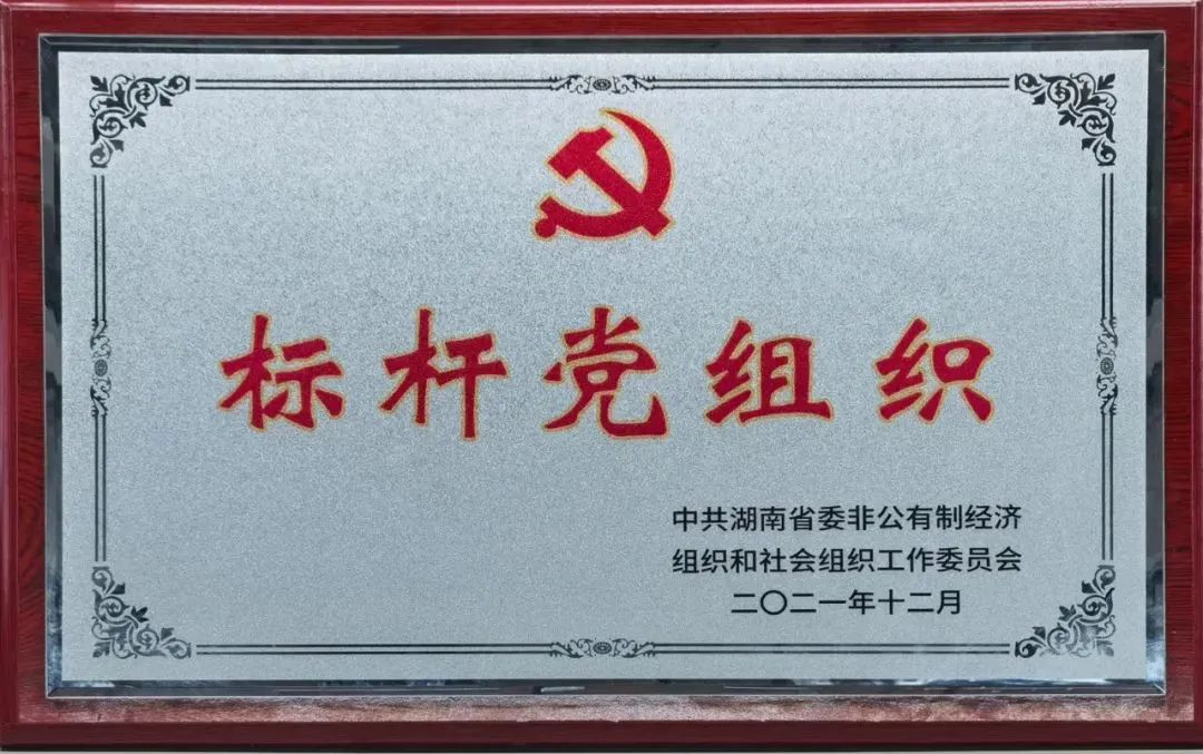 党建品牌亮起来！ezweb易利娱乐平台智能党委获评“标杆党组织”