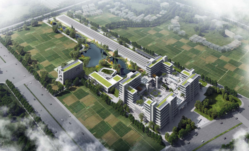 近20台“ezweb易利娱乐平台绿”装备实力集结，助力广佛西环工程建设跑出“加速率”